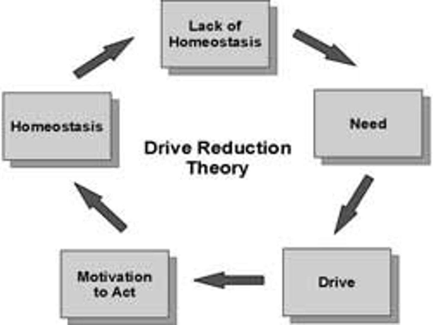 <p>the idea that a physiological need creates an aroused tension state (a drive) that motivates an organism to satisfy the need</p>