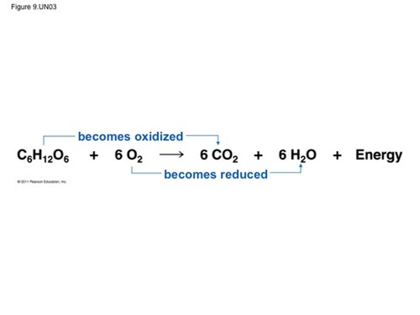 <p>is a reaction that involves the transfer of electrons from one species to another</p>