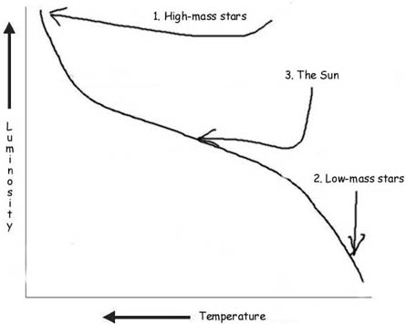 <ul><li><p>gravity continues to cause protostar to collapse, core gets hotter → causes H in the core to undergo nuclear fusion to form He → produces outward pressure that balances out inward gravitational force</p></li><li><p>massive: luminosity constant, surface area smaller but temperature increase <strong>(luminosity constant, temperature increase)</strong></p></li><li><p>average (sun): will get smaller so luminosity decrease, outer layers stay cool UNTIL core gets hotter and heats up the outer layers <strong>(luminosity decrease first, then temperature increase)</strong></p></li></ul><ul><li><p>small: core will not get hotter, luminosity will decrease as it becomes smaller <strong>(luminosity decrease, temperature constant)</strong></p></li></ul><p></p>