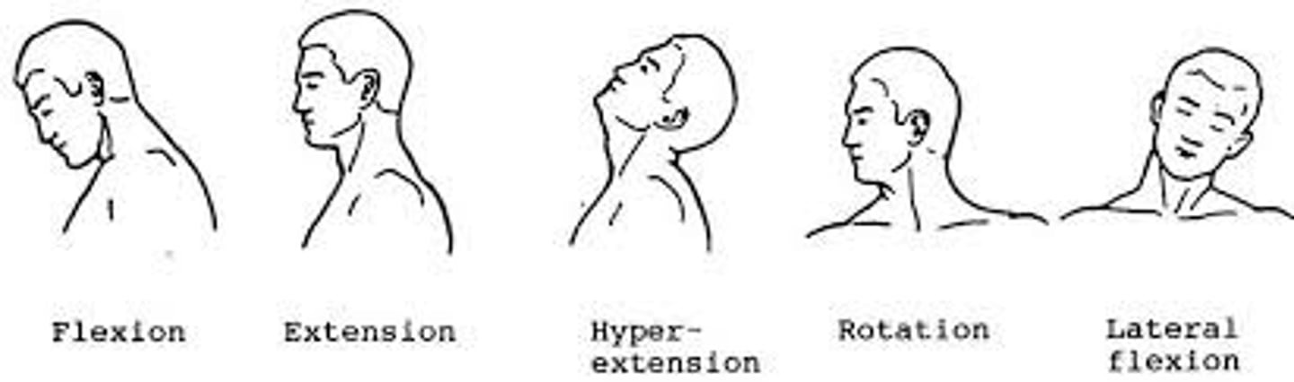 <p>Flexion &amp; Extension</p>