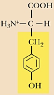 <p>Name (Abbr.) - polarity, a/n/b</p>