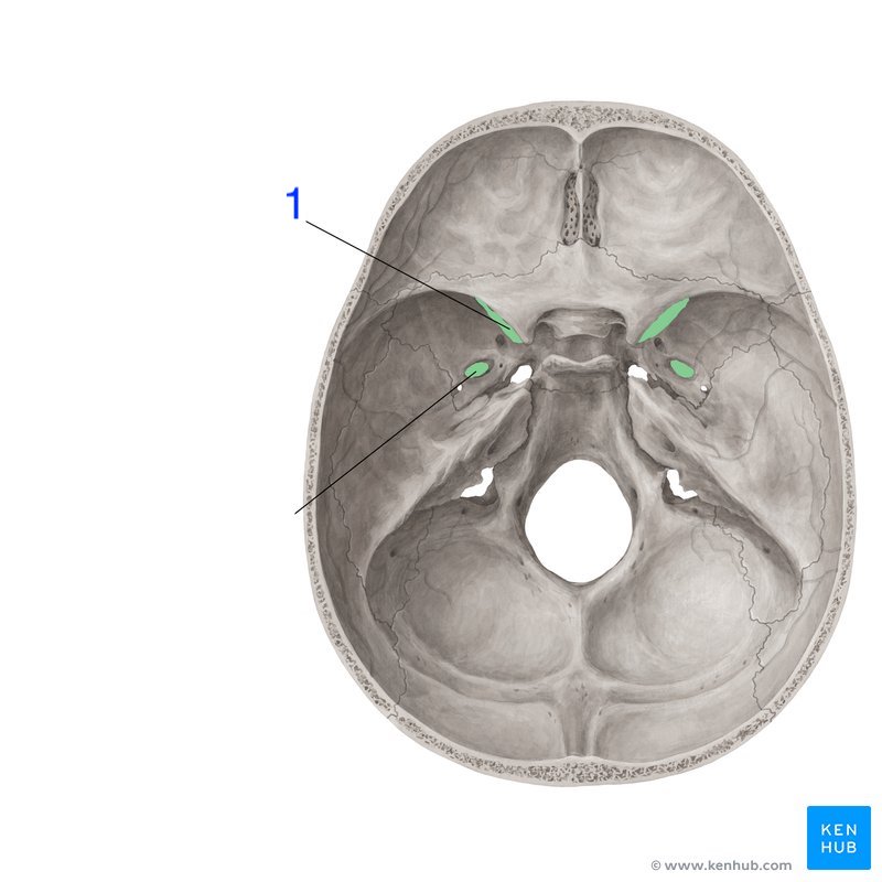 <p>What does this structure (1) correspond with?</p>