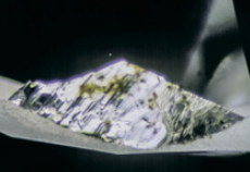 <p>What blemish is this?</p>