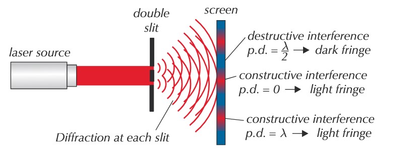 <ol><li><p>Setup a mounted card with two slits the same size as the wavelength of the laser light</p></li><li><p>Shine a laser through the slits</p></li><li><p>An interference pattern of light (maxima) + dark fringes (minima) should form</p></li></ol><p></p>
