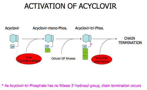 <p>acyclovir</p>