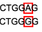 <p>→ Nitrogenous Base Pairs are deleted and swicthed out with a different base </p>