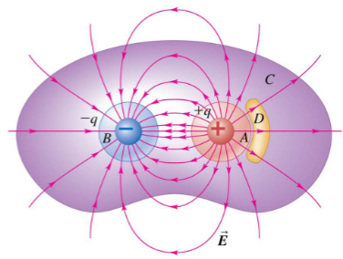 <p>Two point charges, +q (in red) and -q (in blue), are arranged as shown. Through which closed surface(s) is/are the net electric flux equal to zero? </p><p>A<span><span>. surface A<br>B. surface B<br>C. surface C<br>D. surface D<br>E. both surface C and surface D</span></span></p>