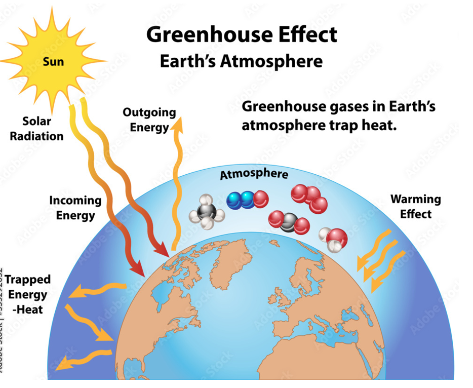 <p>Greenhouse gases</p>