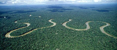 <p>largest tropical rainforest</p>