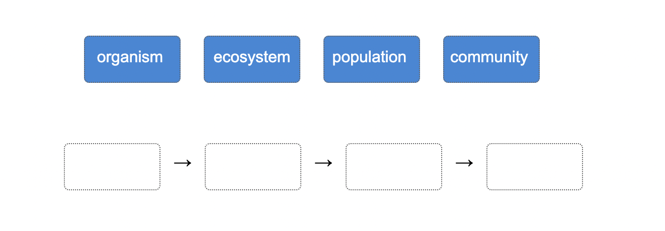 <p>Arrange the levels of ecological organization from smallest to largest.</p>