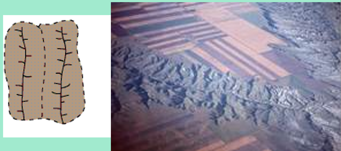 <p><span><span>Drainage pattern which develops in folded mountain belts (syncline & anticline) with alternating layers of hard and soft rock.</span></span></p>