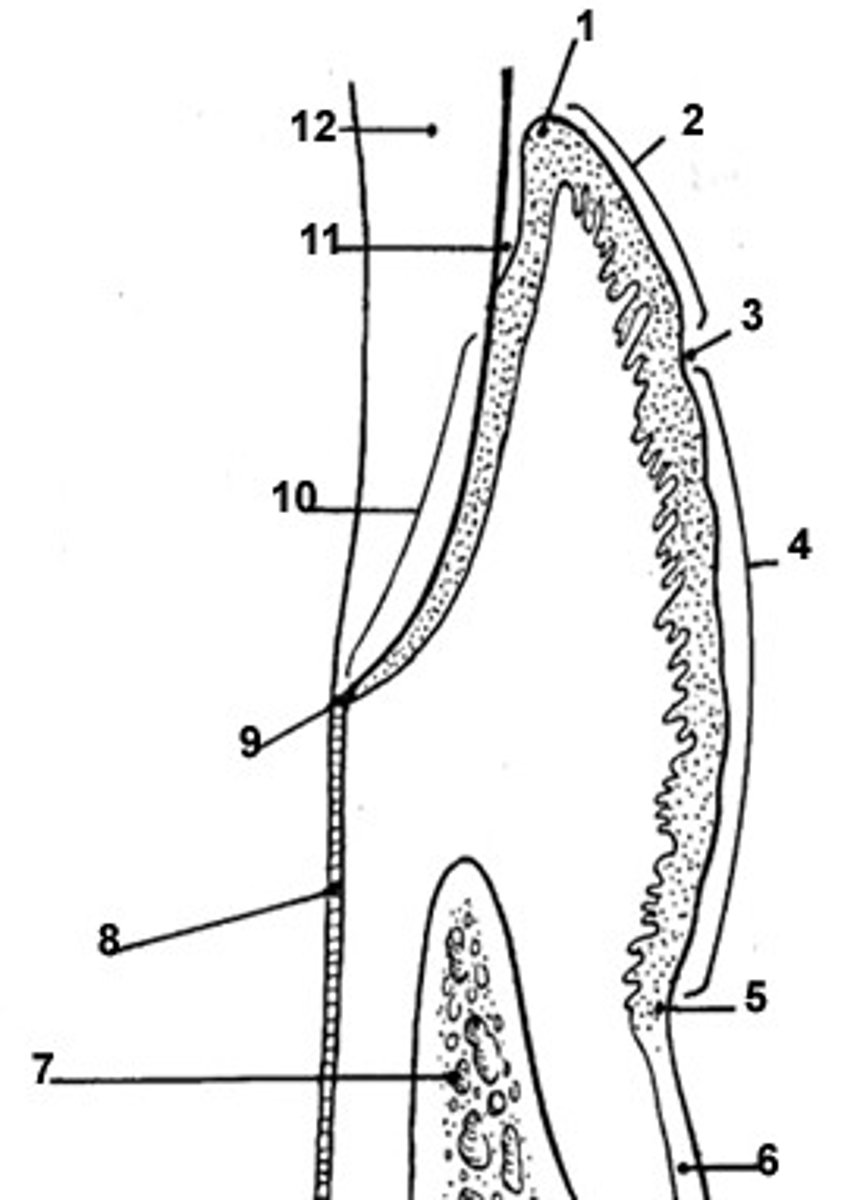 <p>What is 1?</p>