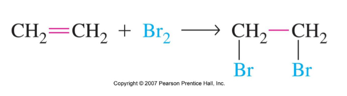 <ul><li><p>bromination adds one Br to each alkene carbon c </p></li><li><p>The result is dibromoalkane </p></li></ul>
