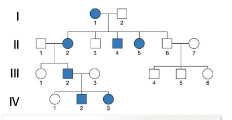 <p>both males and females are affected, all affected individuals have at least one affected parent, two affected parents can have an unaffected child, the trait cannot skip a generation</p>