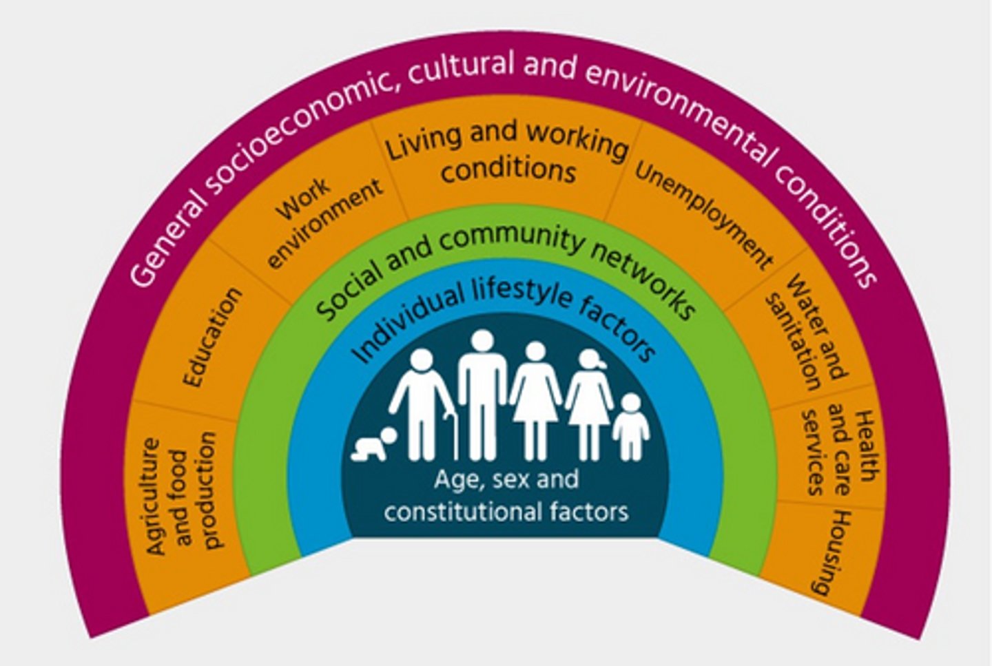 <p>- Age, sex and constitutional factors</p><p>- Individual lifestyle factors</p><p>- Social + community networks</p><p>- Living + network conditions</p>