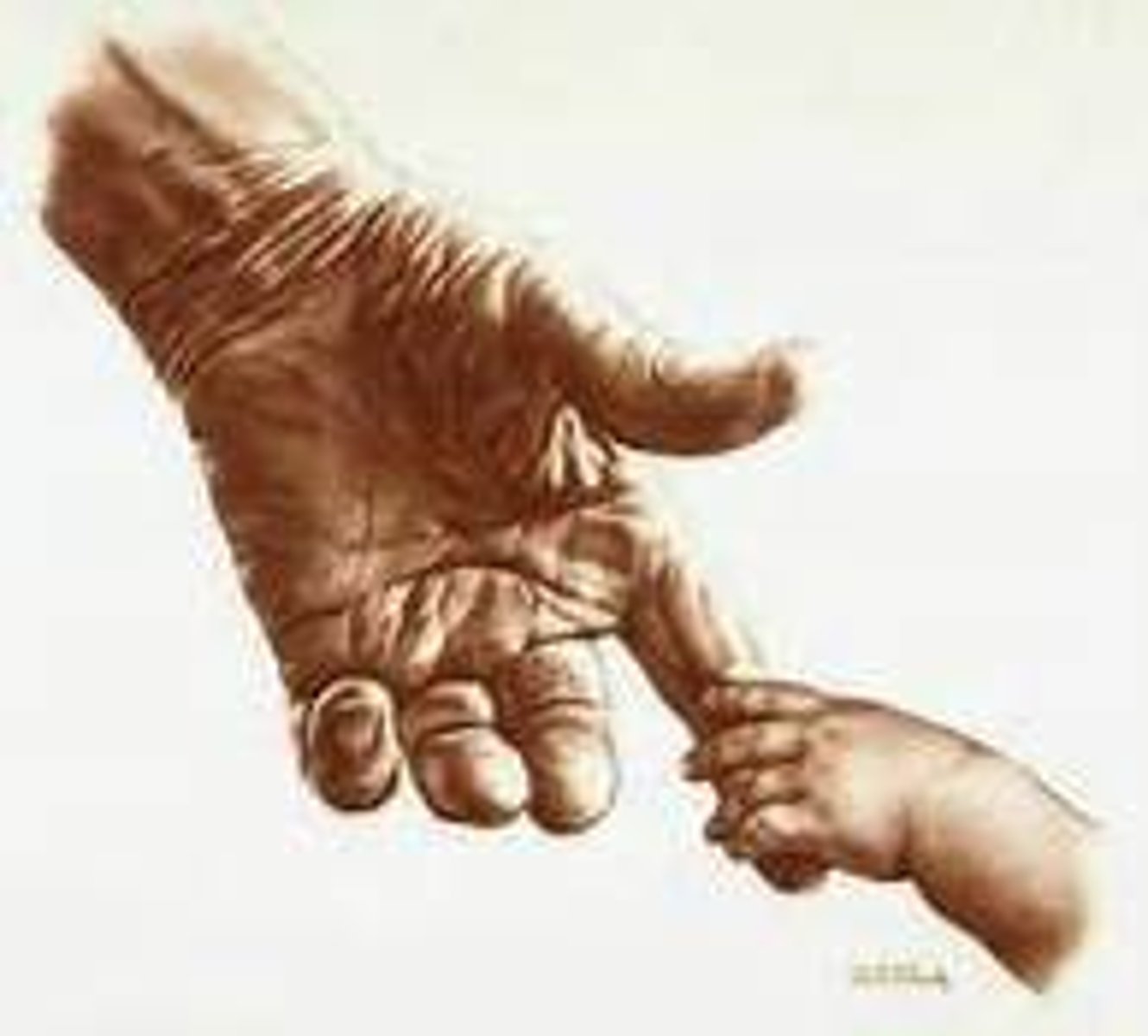 <p>How long someone is expected to live, on average. In East London in 1842, rich people were expected to live until aged 45, whilst poor labourers were expected to live to the ripe old age of 16</p>