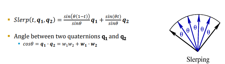 <p>Linear interpolation (LERP)</p><ul><li><p>Fast</p></li><li><p>Angular velocity is not constant Lerp(t,q1,q2) = q1(1-t) + q2t</p></li></ul><p>Spherical Interpolation (SLERP)</p><ul><li><p>More computational demanding</p></li><li><p>Numerical instable when theta close to 0</p></li><li><p>Even rotation velocity (interpolates over the spherical arc) Slerp(t,q1,q2) = sin(θ(1-t))/sinθ)+ sin(θt)</p></li></ul>