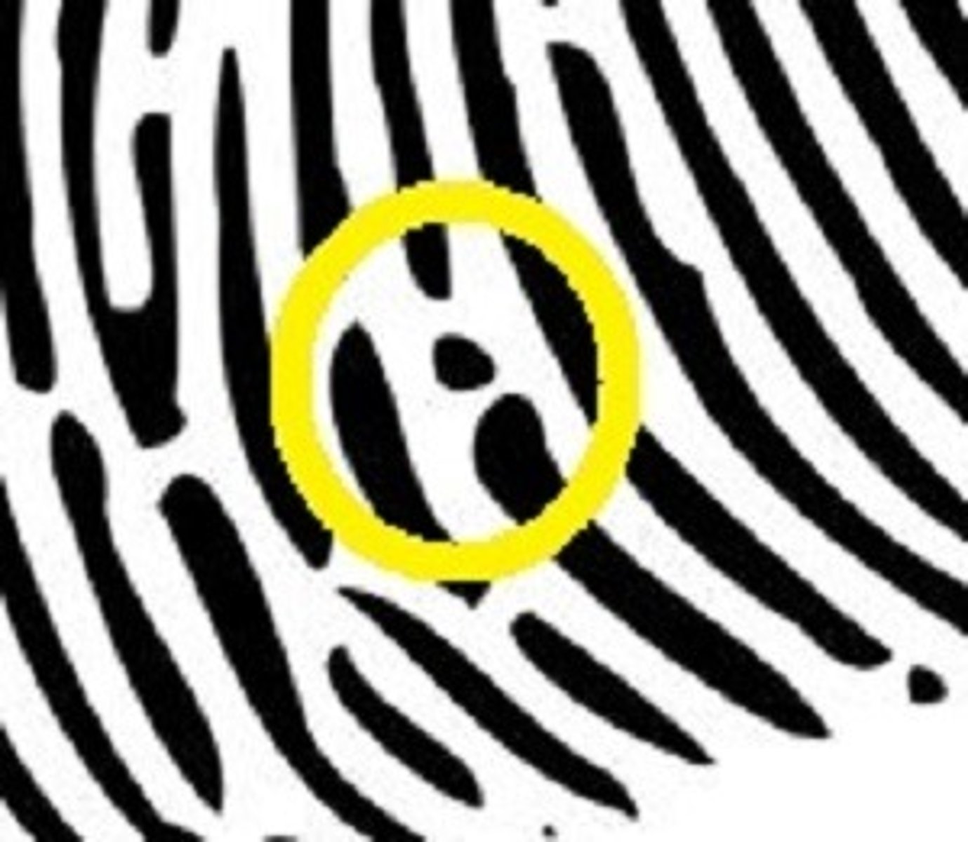 <p>Self-explanatory i hope</p>