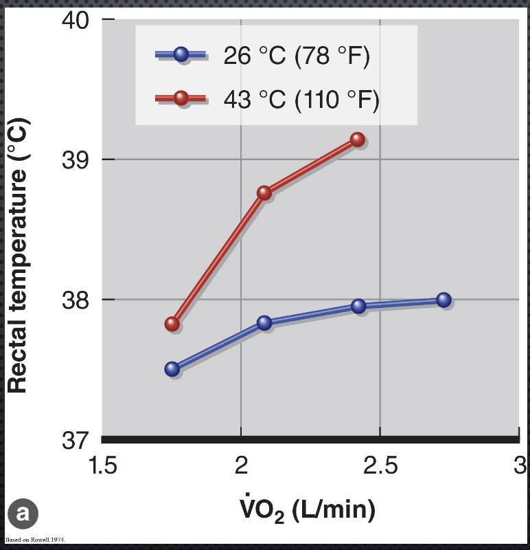 <p>-TC up both, but higher in hot</p><p>*no radiation heat lost</p>