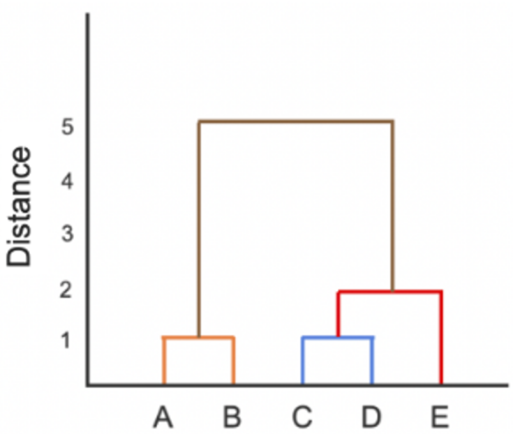 <p>Which of the following instances is most similar to A?</p><ul><li><p>B</p></li><li><p>C</p></li><li><p>D</p></li><li><p>E</p></li></ul><p></p>