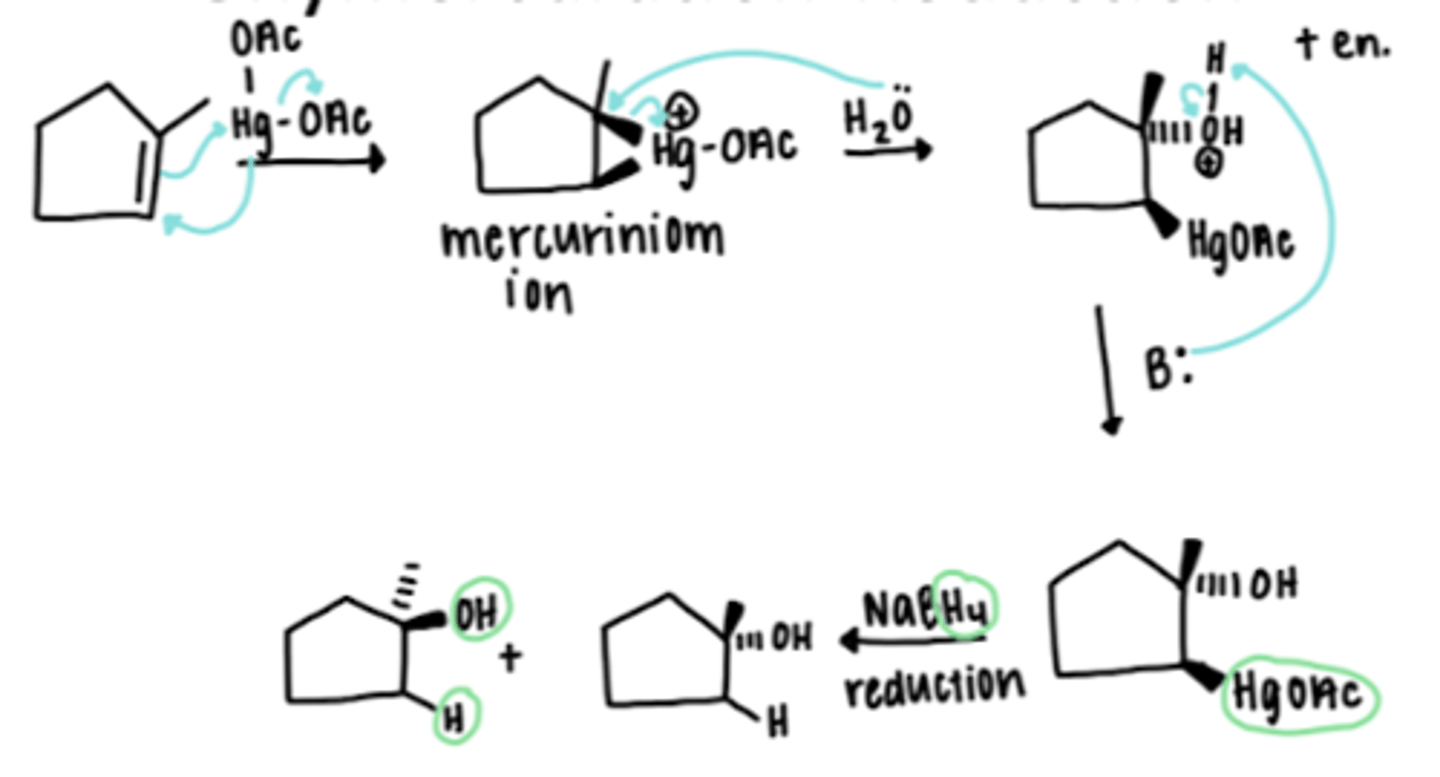 <p>Essentially the same as the Markovnikov addition of H2O to an alkene</p><p>OH bonds to the more substituted carbon and HgOAc to the less substituted carbon; reduction by NaBH4 replaces the HgOAc with an H</p><p>Occurs without rearrangement, indicating that a carbocation isn't formed</p>
