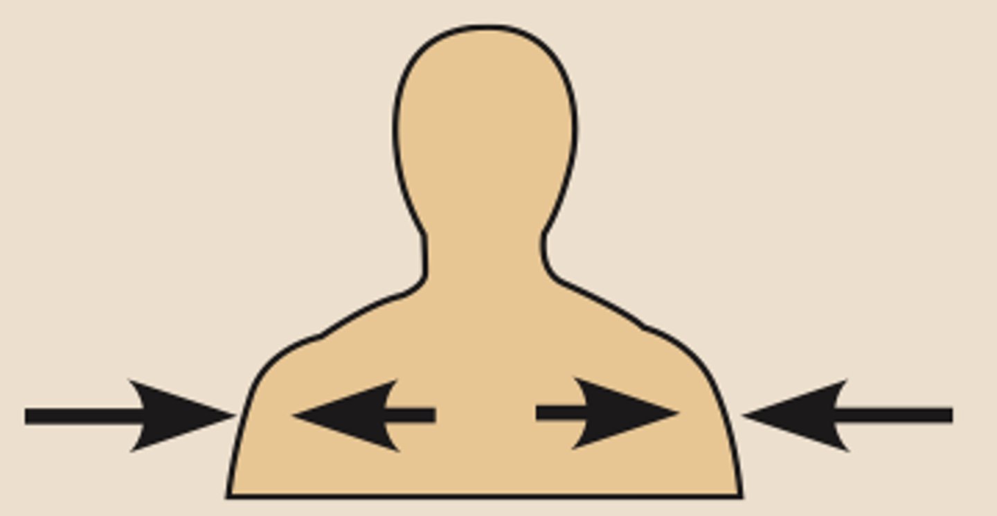 <p>the skin is superficial to the skeletal muscles</p><p>toward or at the body surface</p>