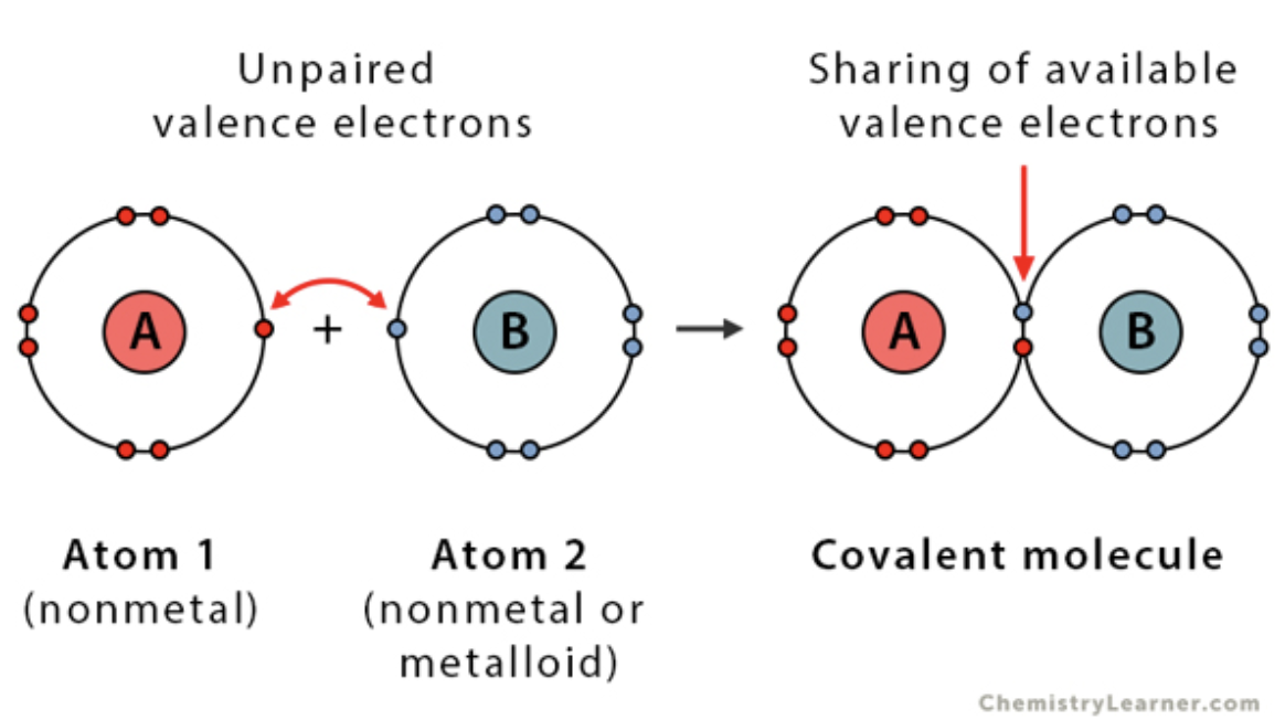 - Sharing electrons between atoms
- Two dots or a line represent a single bond, or shared pair of electrons