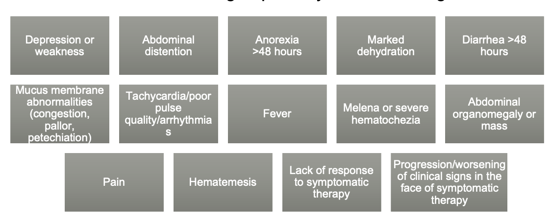 <p>1. history and physical exam (determine if self-limiting or life-threatening)</p><p>2. diagnostic testing</p><p>3. treatment of acute colitis</p>