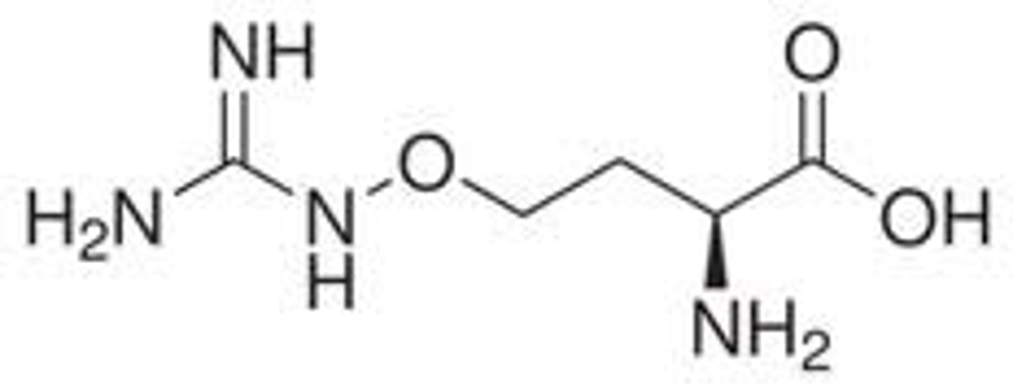 <p>Looks like L-Arginine</p>