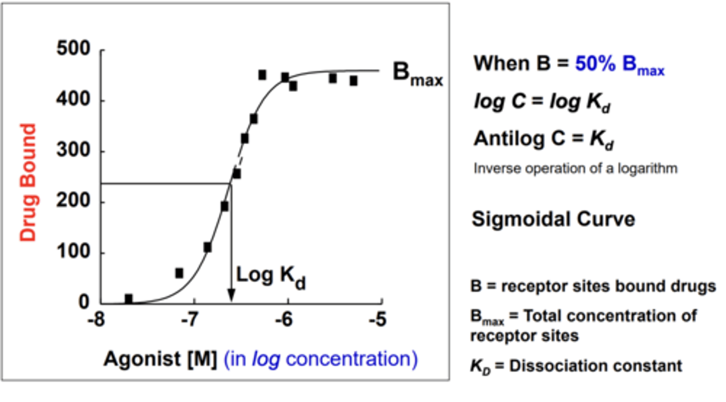 <p>In log, you need to reverse log. LogKd is NOT actual Kd. (have to reverse log)</p><p>- B = receptor sites bound drugs</p><p>- Bmax = total concentration of receptor sites</p><p>- KD = dissociation constant </p>