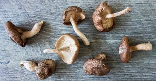 <p>mushrooms shiitake</p>