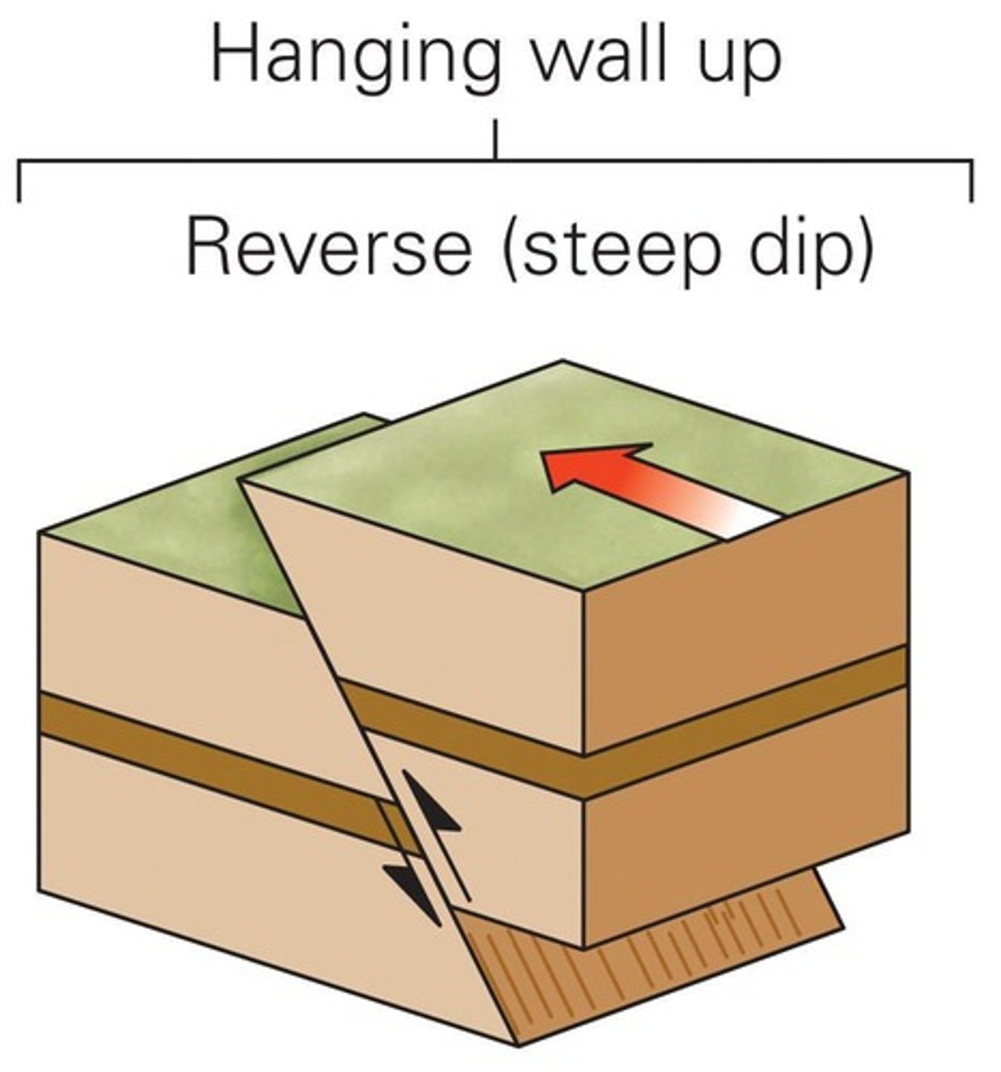 <p>A dip-slip fault with an angle greater than 30º, where the hanging wall moves up relative to the foot wall.</p>