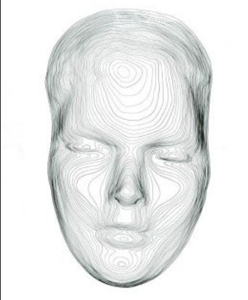 <p>Contour Map</p>