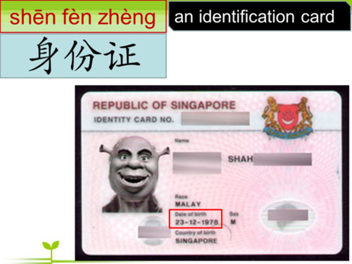 <p>（shēnfèn）status</p>