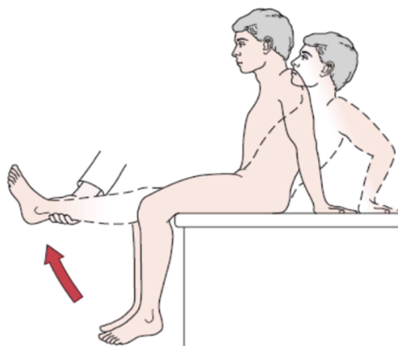 <p>- tightness of hamstrings</p><p>Procedure:</p><p>- The patient is seated with both knees flexed to 90° over the edge of the examining table. The examiner then passively extends one knee. If the hamstring muscles on that side are tight, the patient extends the trunk to relieve the tension in the hamstring muscles. The leg is returned to its starting position, and the other leg is tested and compared with the first side. Extension of the spine is indicative of a positive test.</p><p>(+): extension of spine</p>