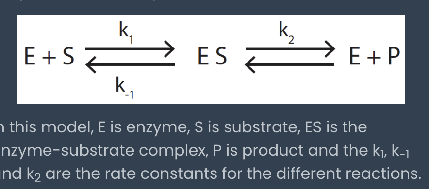 <p>rate at which the ES complex dissociates to form either E+S or E+P</p><ul><li><p><span>K</span><sub><span>m</span></sub><span> = (k</span><sub><span>-1</span></sub><span> + k</span><sub><span>2</span></sub><span>) / k</span><sub><span>1</span></sub></p></li><li><p><sub><span>low Km = HIGH enzyme substrate affinity</span></sub></p></li><li><p><sub><span>high Km = LOW enzyme substrate affinity</span></sub></p></li><li><p></p></li></ul><p></p>