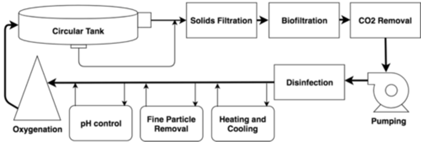 <p>Recirculation of water can quickly magnify pathogen challenges - critically important to screen fish for disease before being brought into these facilities.</p><p>pathogens cause more acute illness</p>