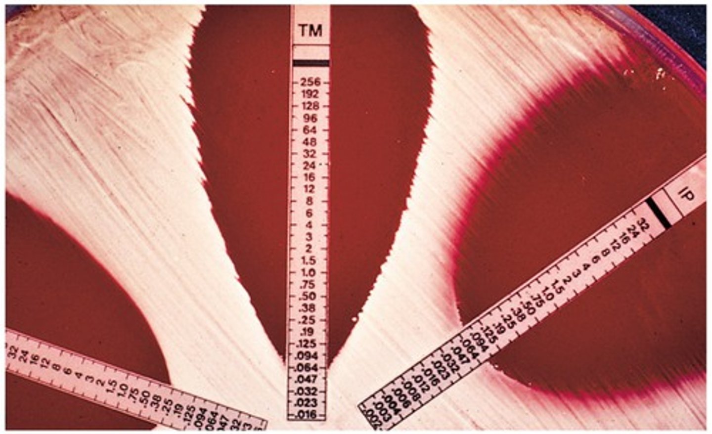 <p>-Uses strips instead of disks</p><p>-strips contain varying concentrations of antibiotic</p><p>-Intersection of elliptical zone of inhibition with strip indicates MIC</p>