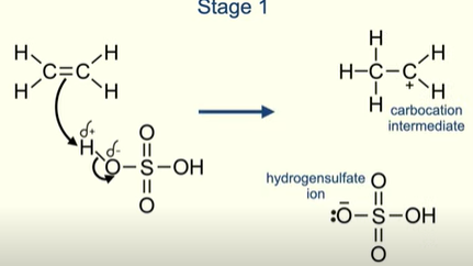 <ul><li><p>Carbocation intermediate</p></li><li><p>Hydrogensulfate ion</p></li></ul><p></p>