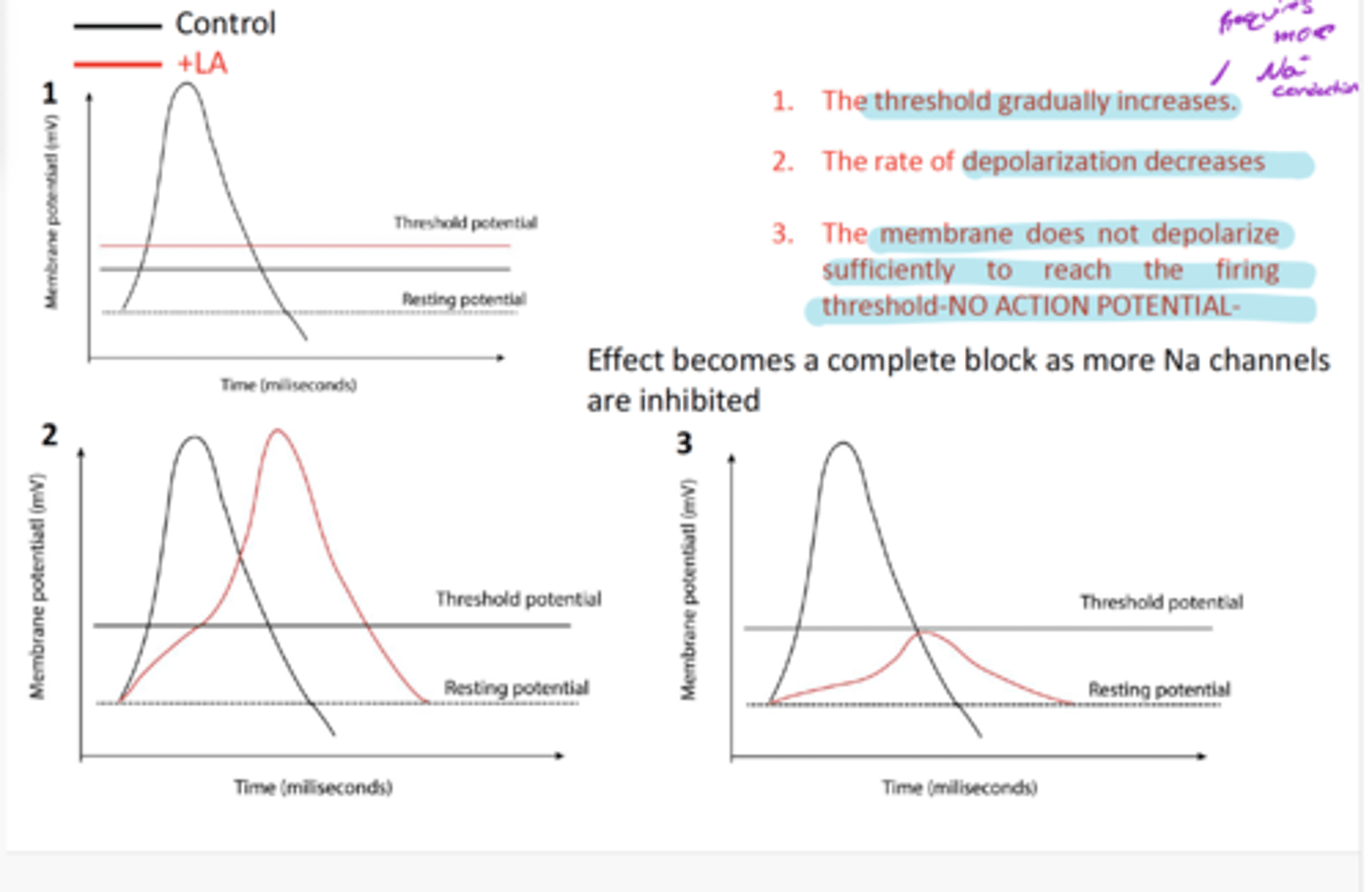 <p>1) Threshold gradually increases (requires more Na+ conduction)</p><p>2) The rate of depolarization decreases</p><p>3) Membrane does not depolarize sufficiently to reach the firing threshold- NO AP</p><p>Becomes a complete block as more Na channels are inhibited </p>