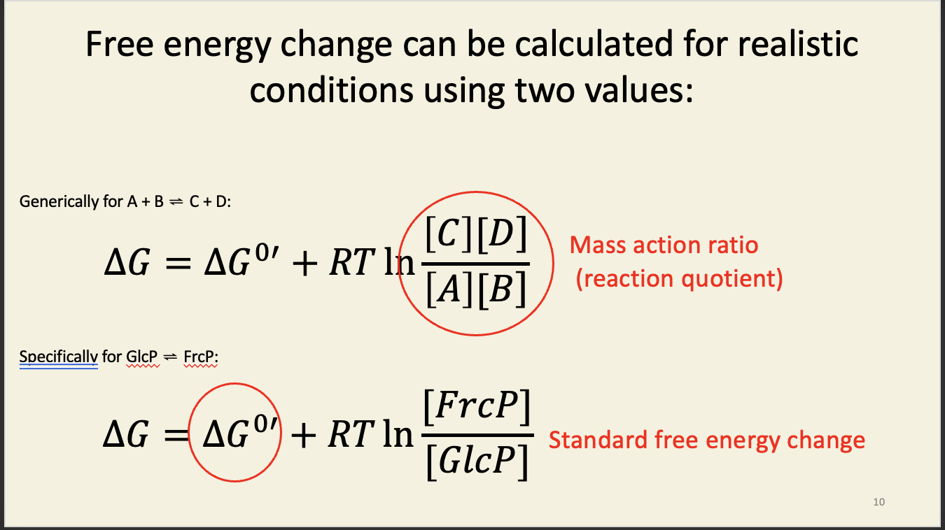 <ul><li><p><span><span>The mass action ratio is more commonly written as </span><em><span>Q</span></em><span> than as </span><em><span>Γ,</span></em><span> but I’ve avoided that so you don’t mix it up with heat</span></span></p></li></ul><ul><li><p style="text-align: left;"><span><span>‘Iff’ = if and only iff</span></span></p></li></ul><p></p>
