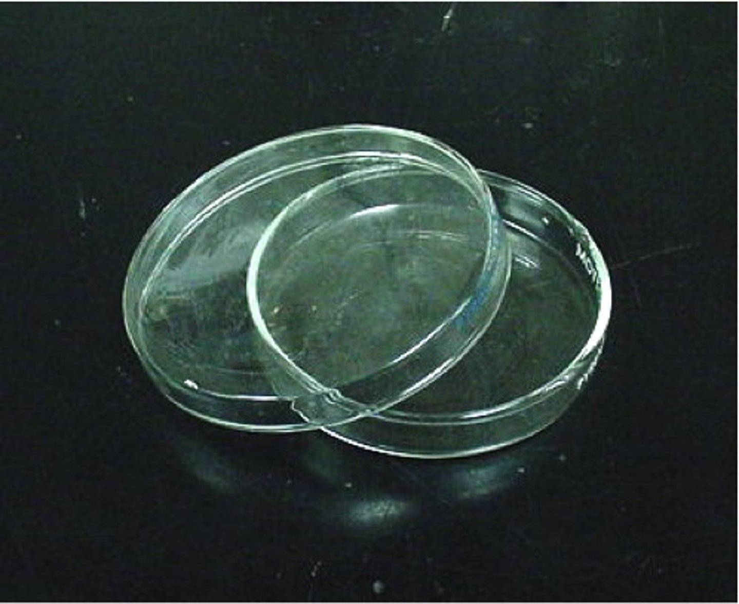 <p>a shallow dish used to culture bacteria</p>