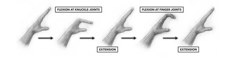 <p>what type of joint is this</p>