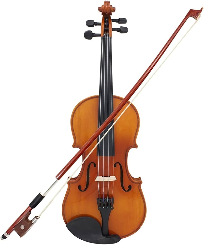 <p>A bowed stringed instrument that is the highest member of the violin family.</p>