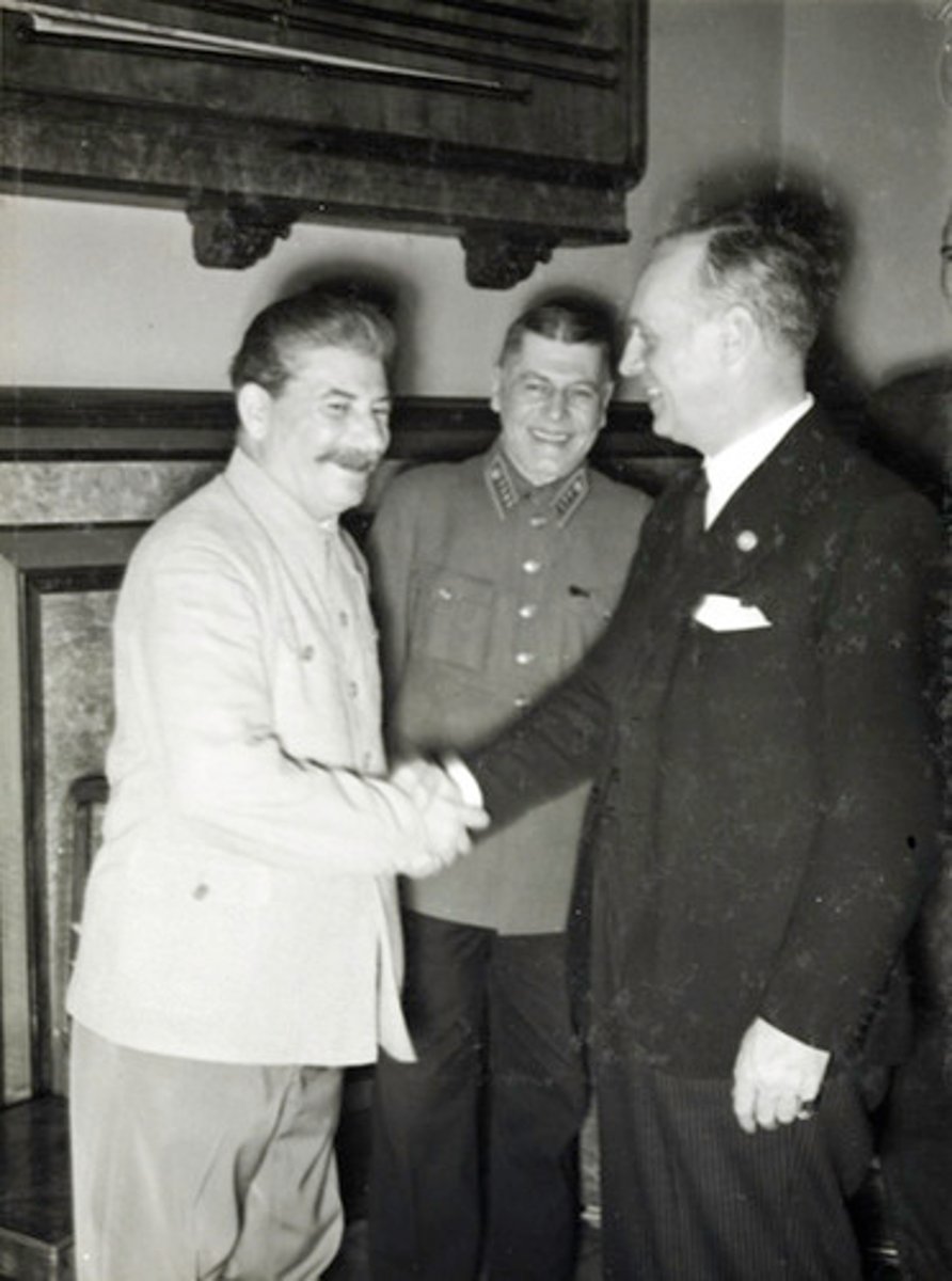 <p>Agreement between Germany and USSR to avoid conflict.</p>