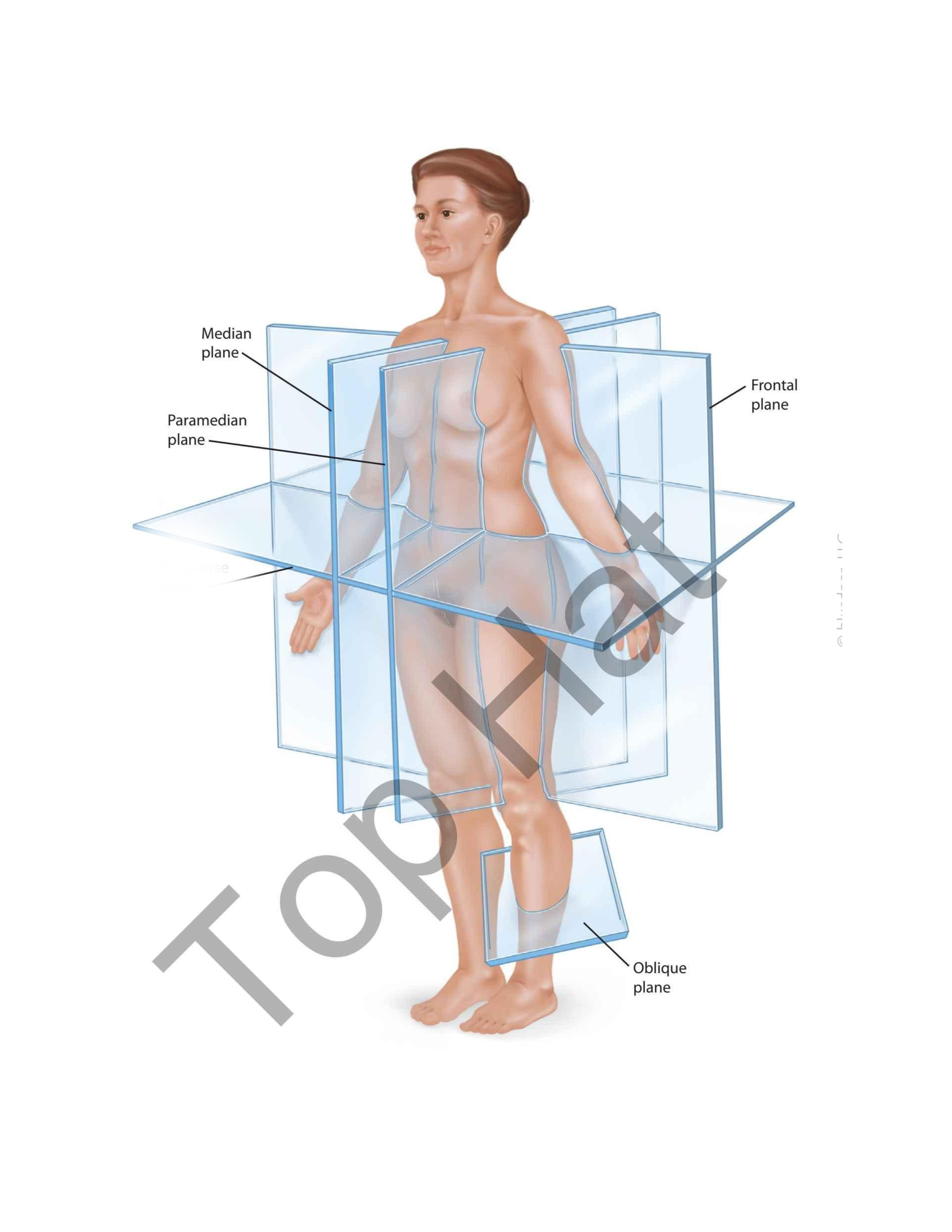 term image