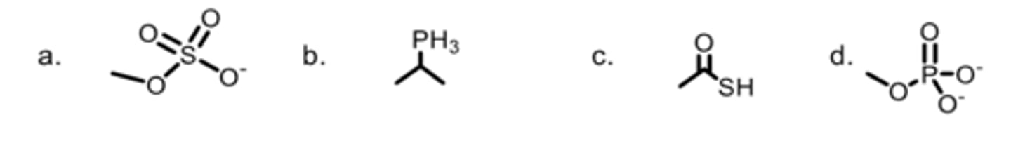 <p>Which is an alkyl sulfate?</p>