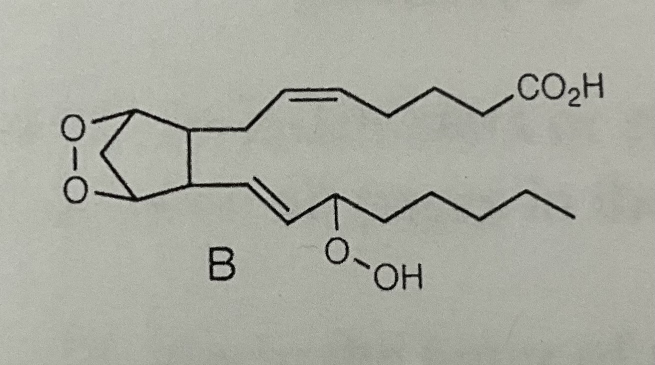 <p>Prostaglandin G2</p>