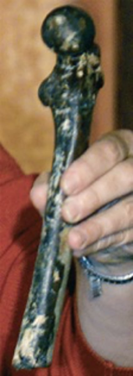 <p>- Thick Enamel</p><p>- Small Teeth</p><p>- Large Upper Canines</p><p>- MAY BE OLDEST OF HOMININS</p>