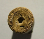 <p>Echinoderm, Crinoid Stem</p>